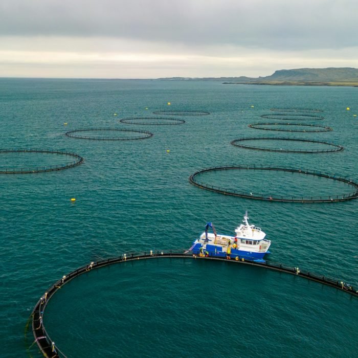 Fish farming cages (2)