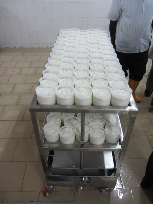 Milk Processing