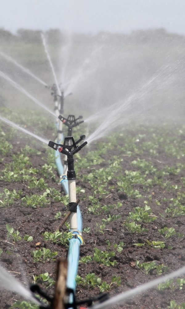 irrigation-588941_1920